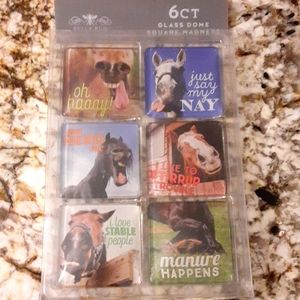 NWT Bella Bug Funny Horse Magnets